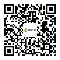 描述