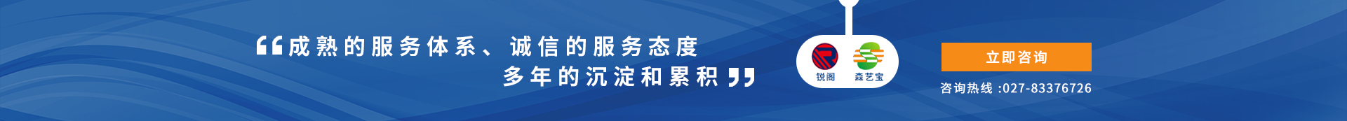 描述
